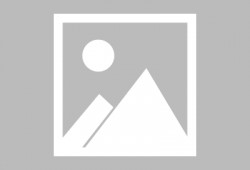 最新 植物爆料视频大全,最新爆料视频大全揭秘大自然奥秘